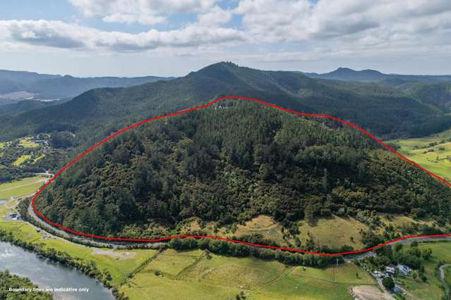 184 Hikuai Settlement Road Hikuai_3