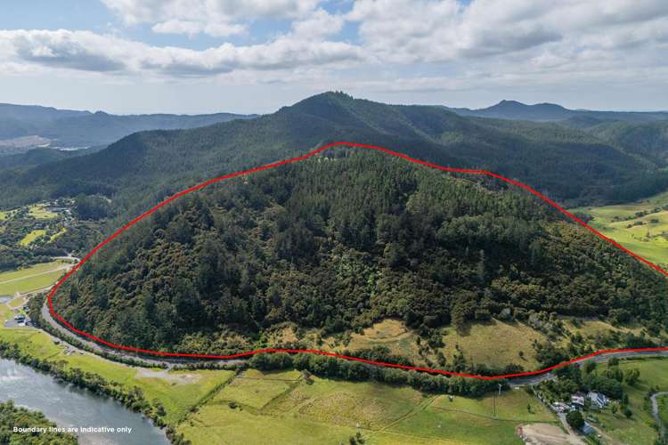 184 Hikuai Settlement Road Hikuai_3