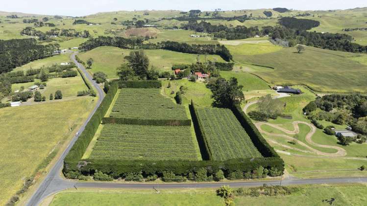 250 Taurangaruru Road Karioitahi_24