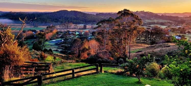 202 Kahikatea Flat Road Dairy Flat_1