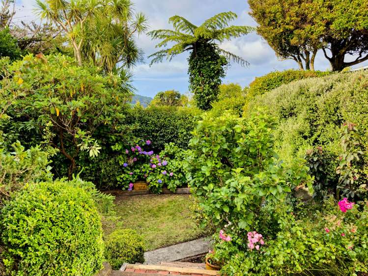 52 Central Terrace Kelburn_24