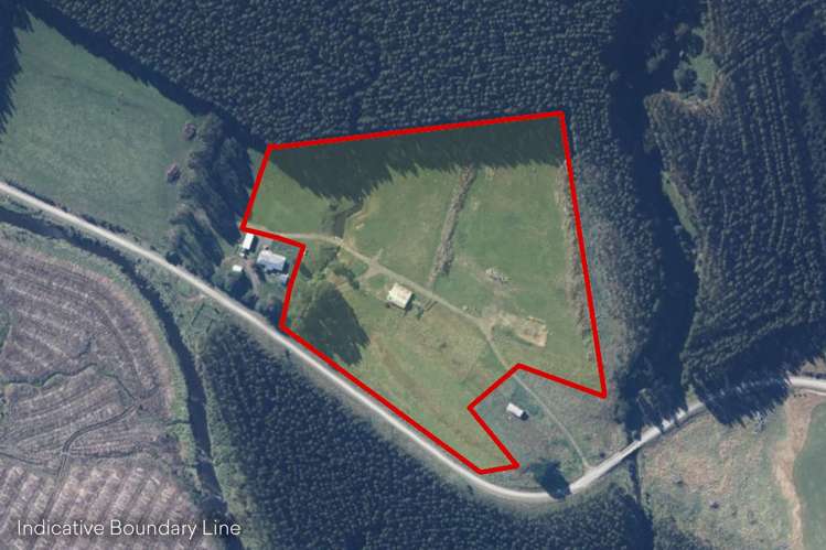 Tahakopa Valley Road Catlins Surrounds_15