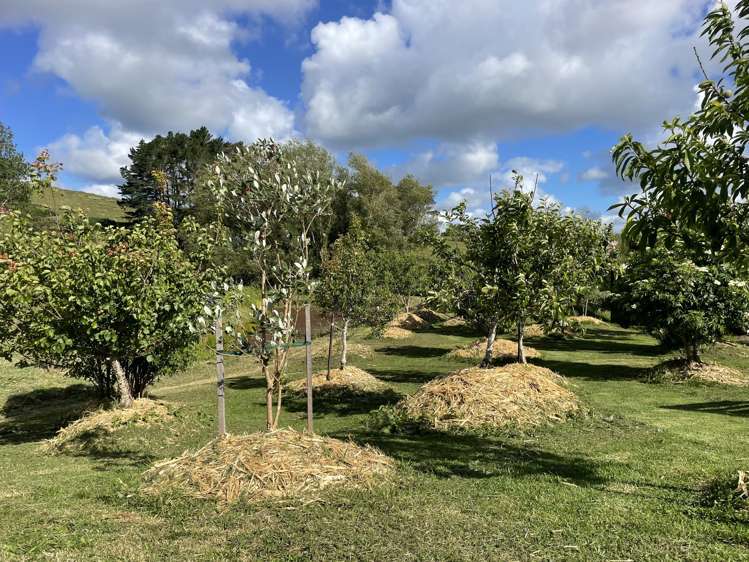 852 Oneriri Road Kaiwaka_60