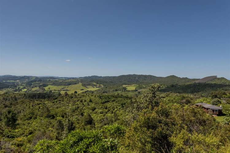 180 Silverstream Falls Row Whenuakite_5