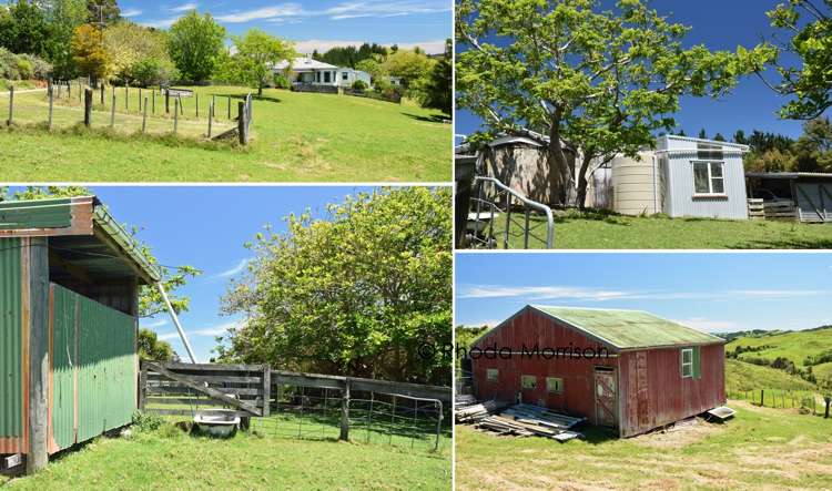 311 Franklin Road Paparoa_12