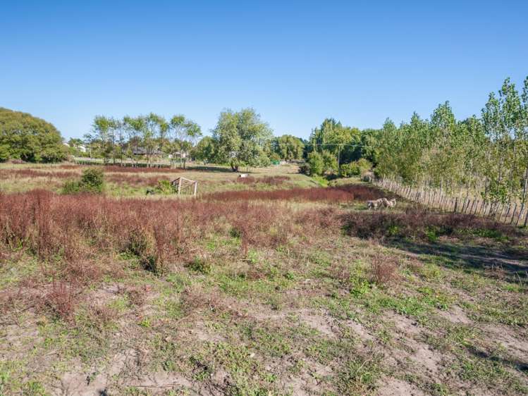 65 Grace Street Sanson_10