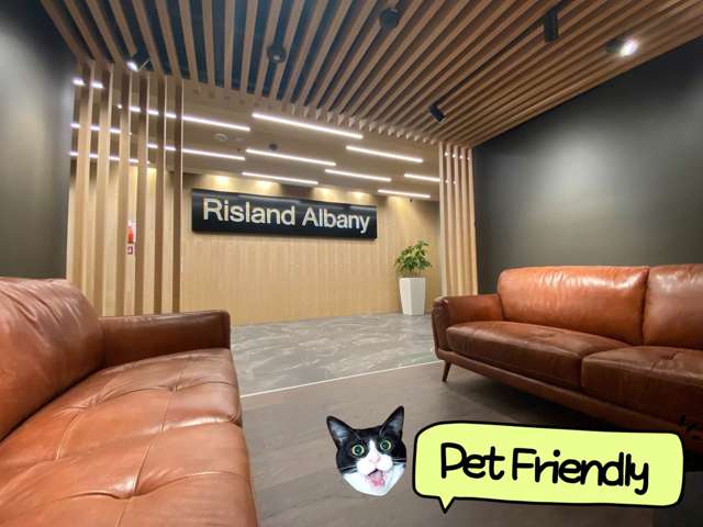 Pet Friendly Apartment In Albany