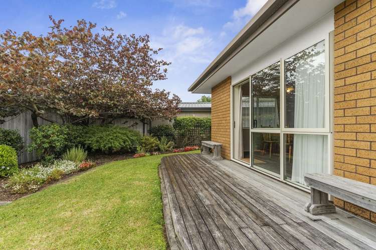 48B Emmett Street Greerton_8