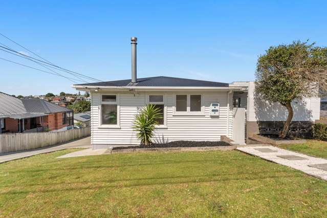 20 Ellis Avenue Mt Roskill_2