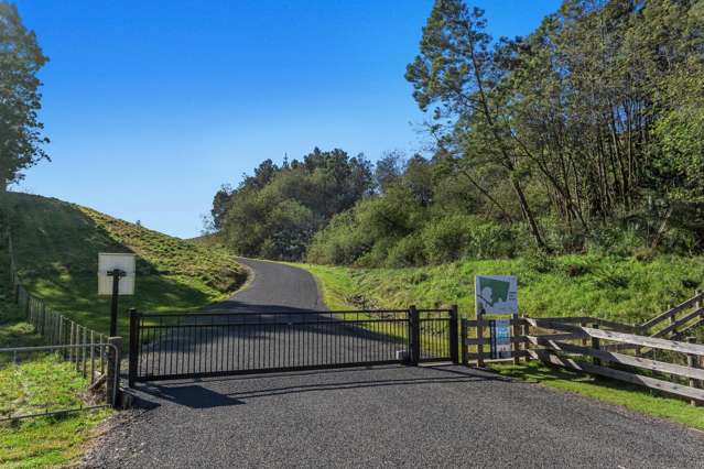 230 Withy Road Matata_3