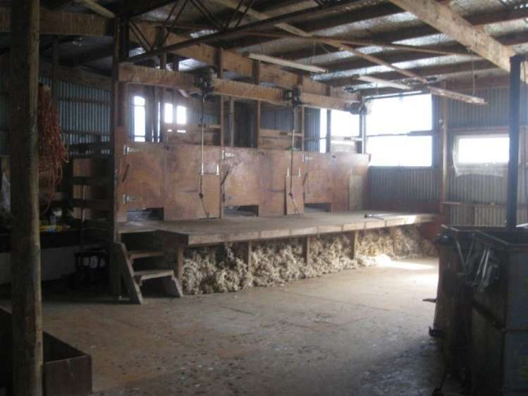 858 Oporae Road Waione_7