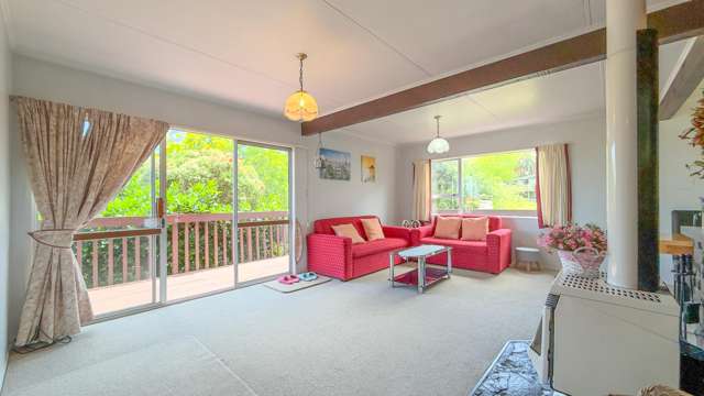 104 Hays Place Thames_2