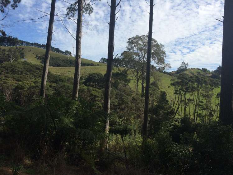 47 Moumoukai Hill Road Ness Valley_15