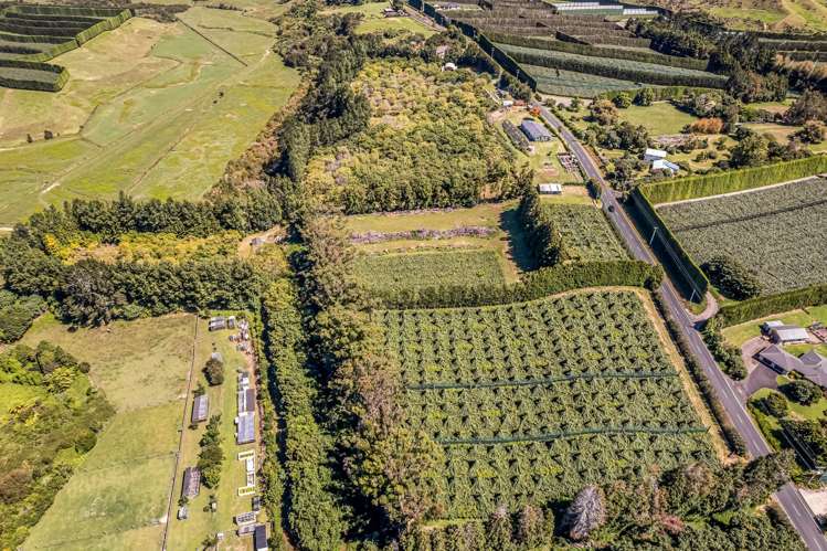 49 Lindemann Road Katikati_6