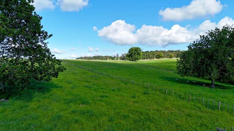 11 Pool Road Wellsford_6