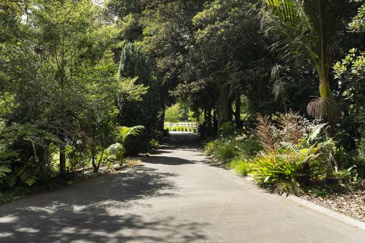 37 Kara Road Maungatapere_71