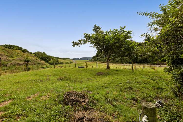 538 Everett Road Inglewood_24