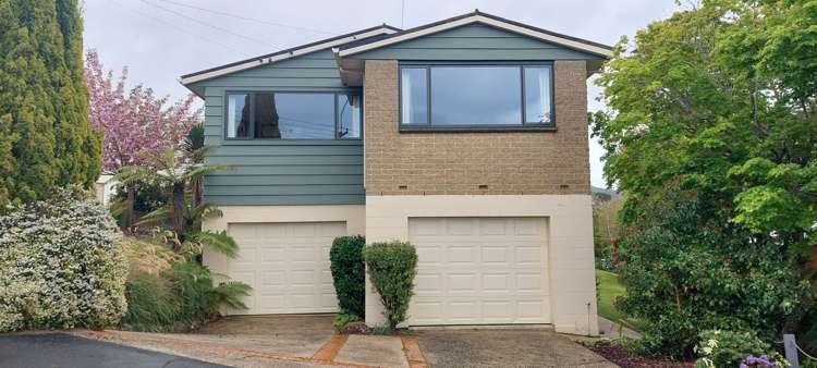 135 Balmacewen Road Wakari_12