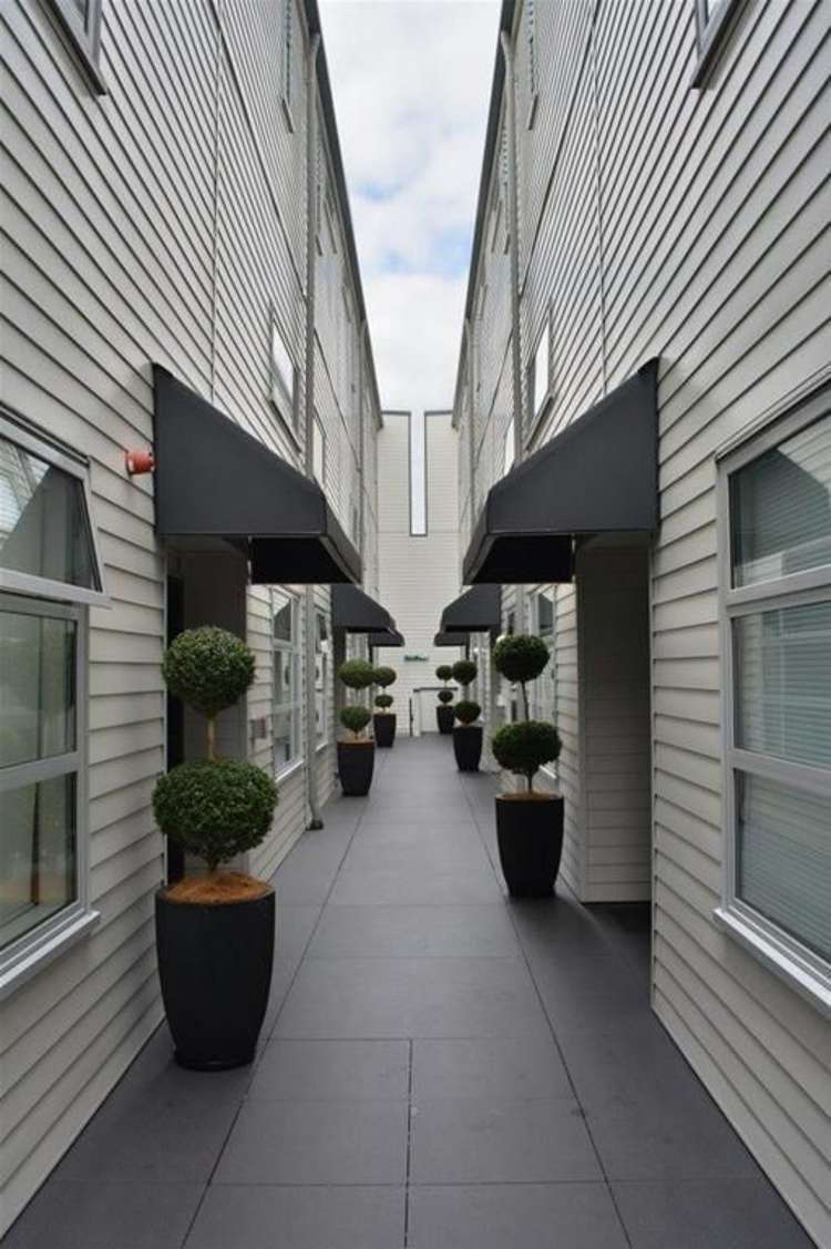 25k George Street Mount Eden_3