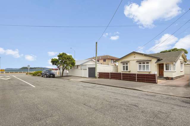 1 Collins Street Petone_1