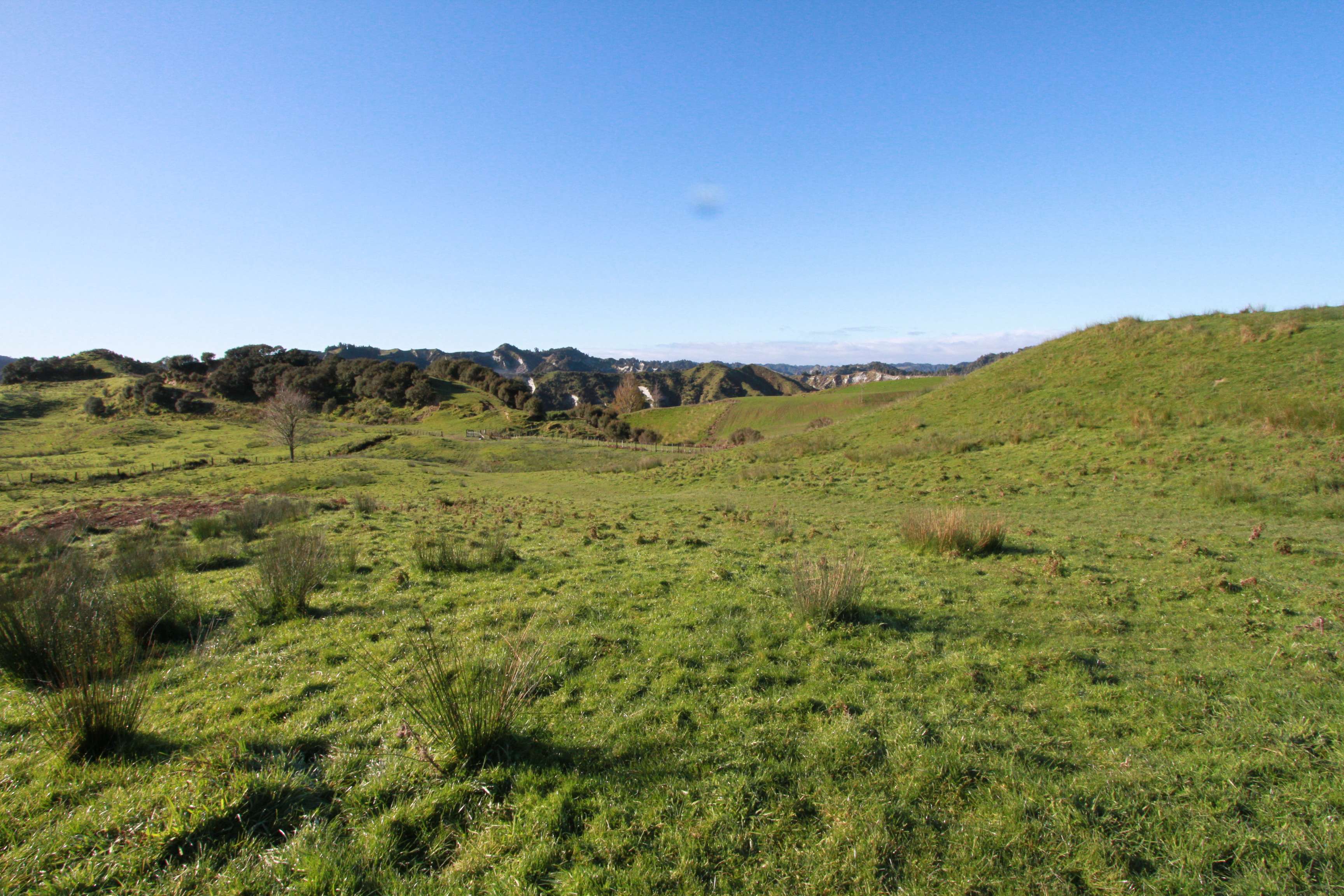 347 Ngatoto Road North Uruti New Plymouth Rural Property For Sale