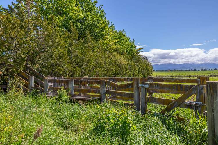 732 Carters Line Carterton_19