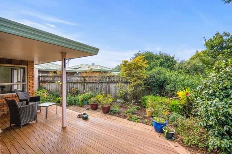 64a Kamo Road Kensington_16