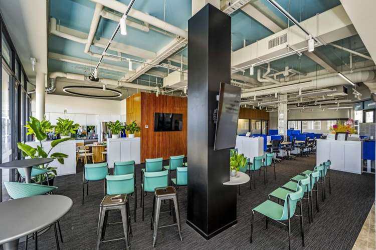 223 Greenlane West Epsom_2