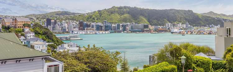 2a/22 Telford Terrace Oriental Bay_9