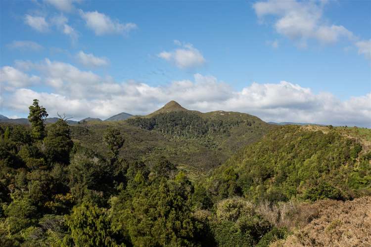 60 Snake Creek Road Kahurangi National Park_8