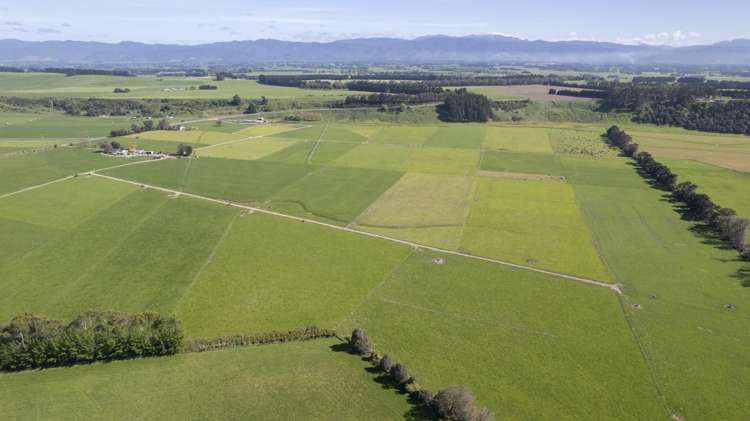 2556 State Highway 53 Martinborough_18