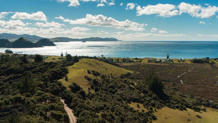 499 Medland Road Great Barrier Island (Aotea Island)_2