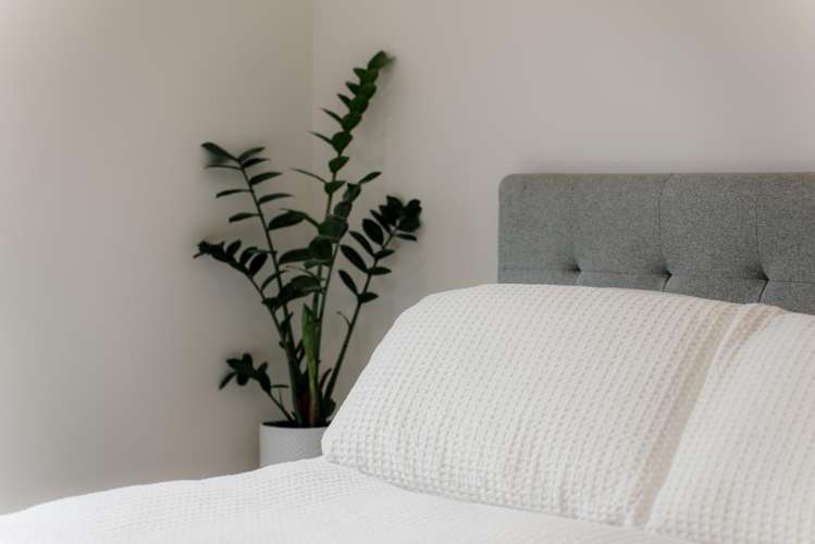 17 Roslyn Farm Street Ramarama_8