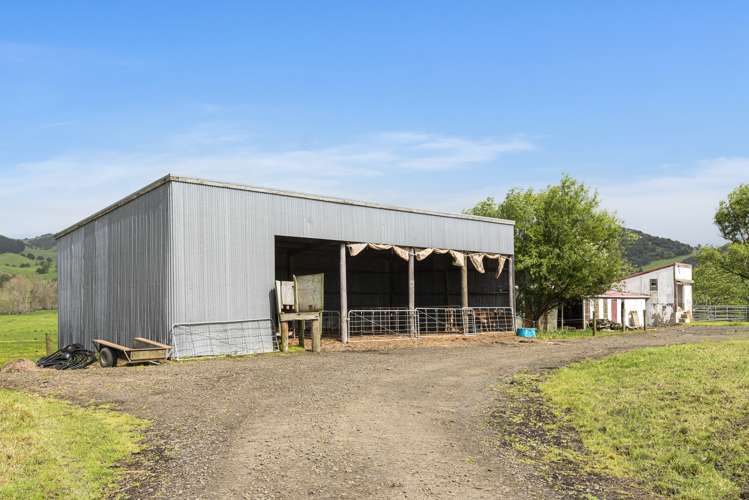 1371 Waihue Road Dargaville Surrounds_22