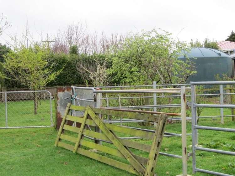 914 Woodlands Invercargill Highway Longbush_24