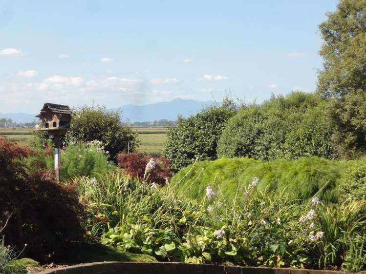 190 Waverley Road Gordonton_7