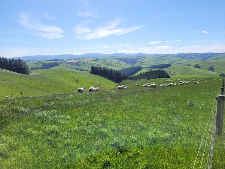 575 Tuapeka Flat Road Lawrence_23