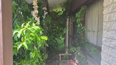 5 Sunny Bay Road_3