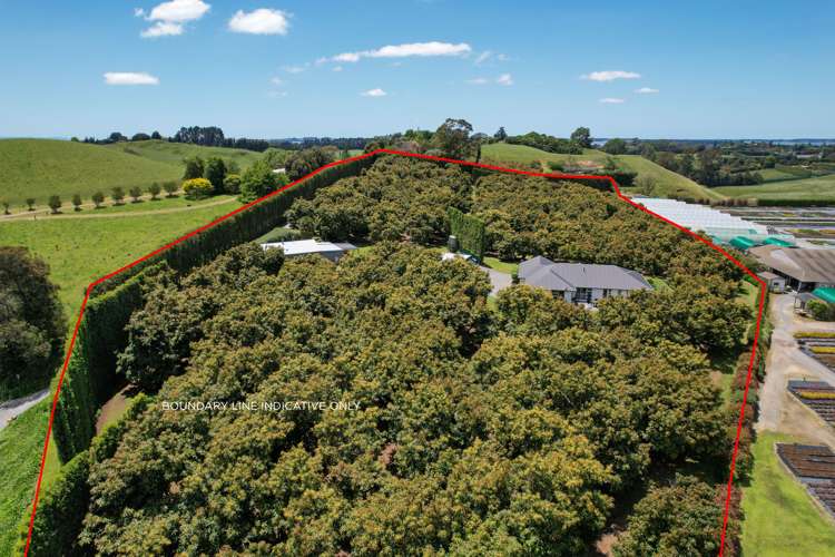 383 Old Highway Whakamarama_26