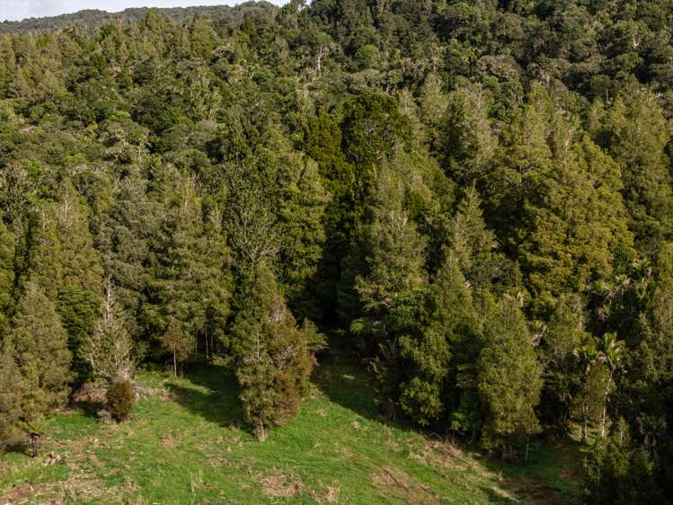 Lot 3/2262 Waiare Road Kaeo_13