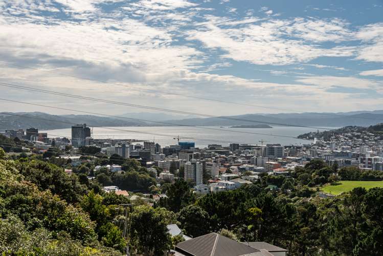 74 Mortimer Terrace Brooklyn_27