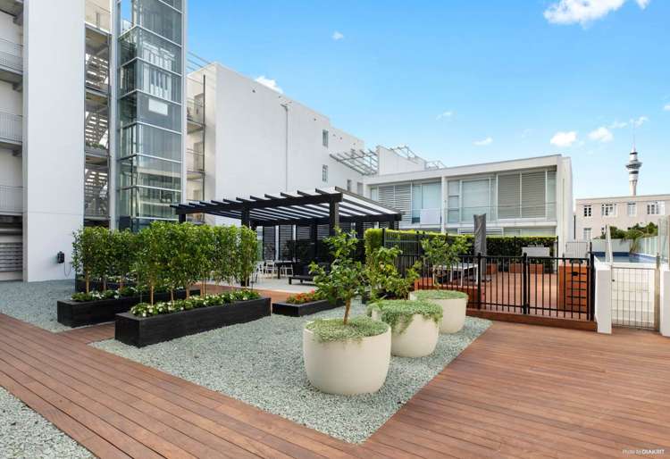 603/28 College Hill Freemans Bay_13