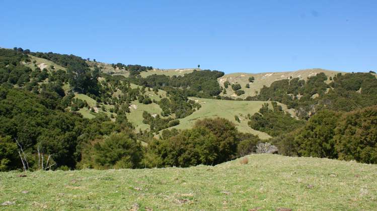 1050 Ellis Wallace Road Eskdale_14