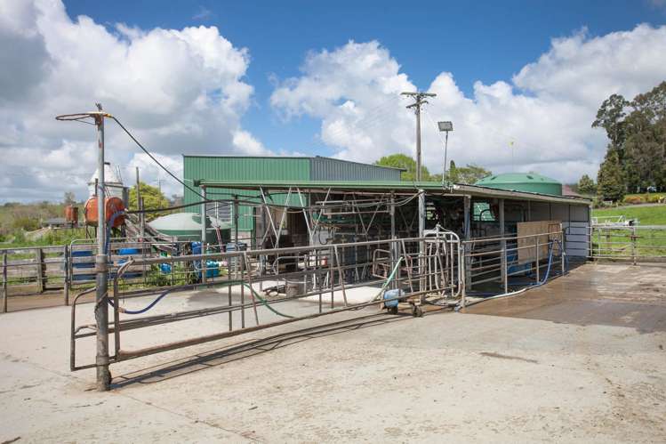 80 Paratu Road Richmond Downs_8