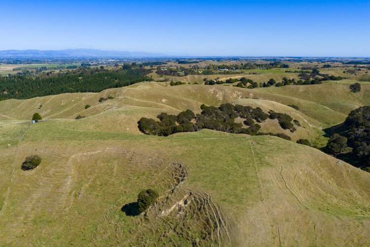 109A Junction Road Halcombe_14