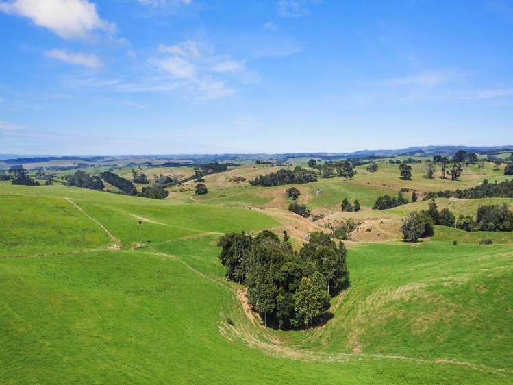 870 Mangati Road Pirongia_37