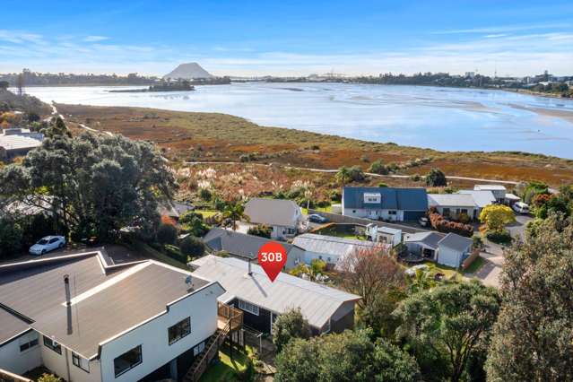 30b Montgomery Road Judea_4