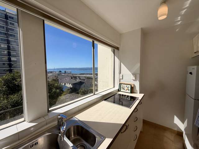 3A/19 Cottleville Terrace Thorndon_1