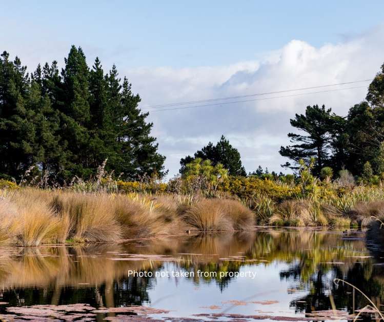 369 Brighton Road Waldronville_23