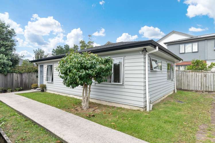 75A Tabitha Crescent Henderson_25